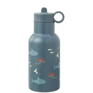 Thermos Stainless Steel 350ml