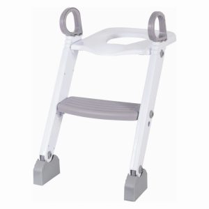 Potty with ladder