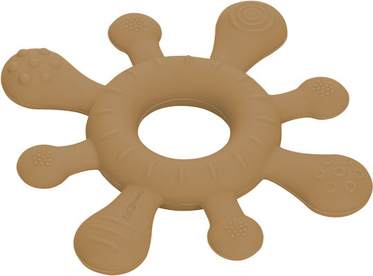 FΜασητικός Κρίκος Οδοντοφυΐας