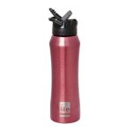 Eco Life Red Thermos 550ml With inner straw