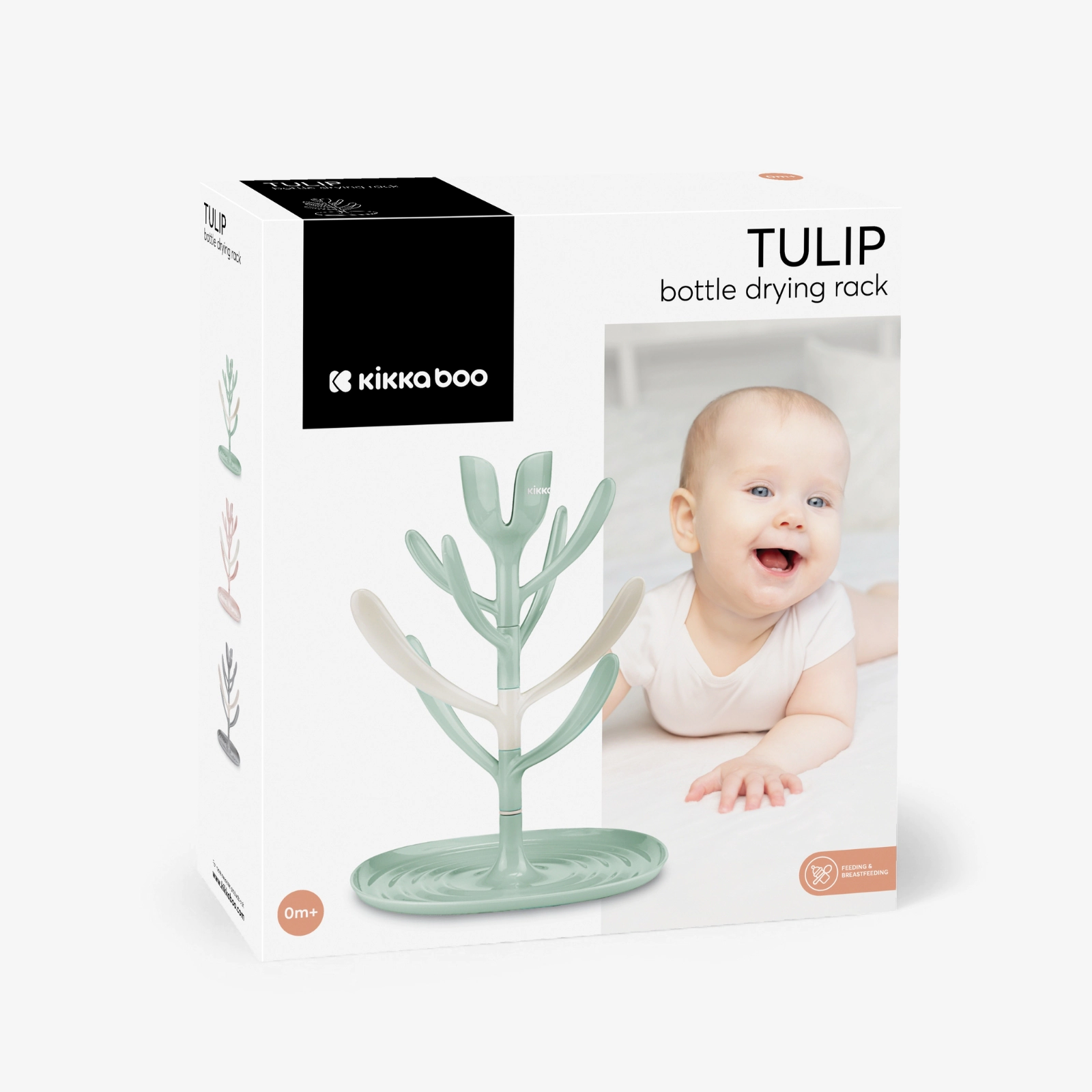 tulip-mint-box