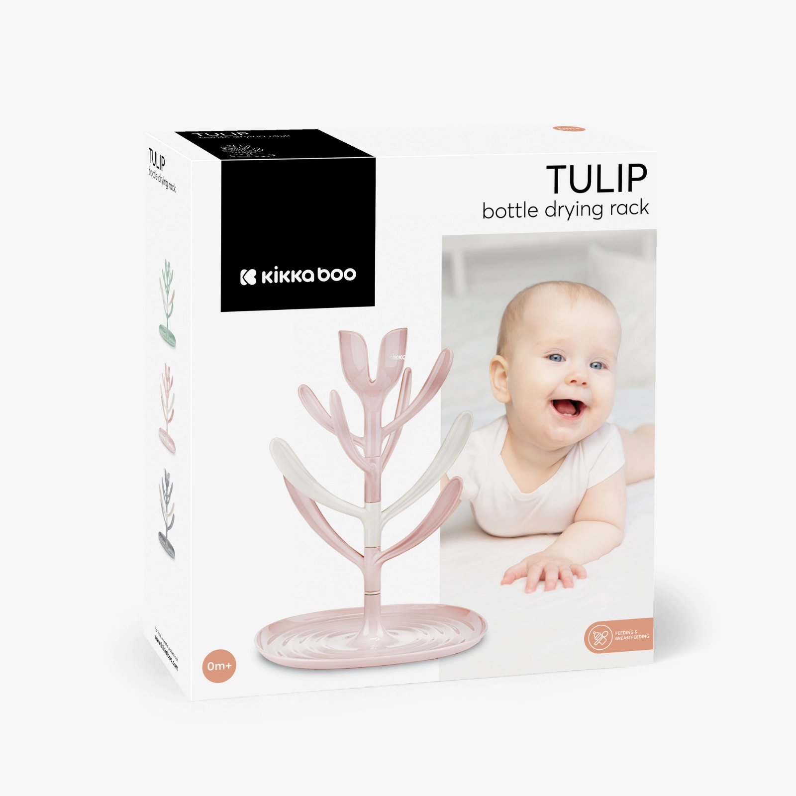 tulip-pink-box